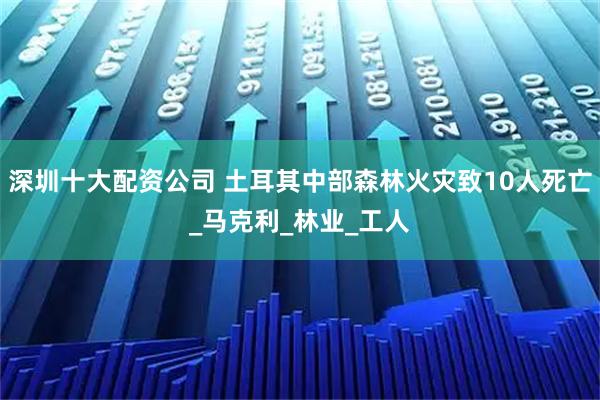 深圳十大配资公司 土耳其中部森林火灾致10人死亡_马克利_林业_工人