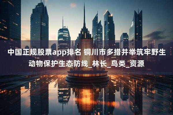 中国正规股票app排名 铜川市多措并举筑牢野生动物保护生态防线_林长_鸟类_资源