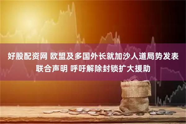 好股配资网 欧盟及多国外长就加沙人道局势发表联合声明 呼吁解除封锁扩大援助